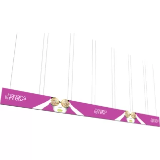 Vector Frame Hanging Light Box 40ft x 3ft